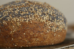 Seeded 100% Whole Wheat No Knead Bread