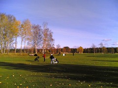 Autumn Golf in the Nordic #7