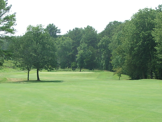 #4 approach to green