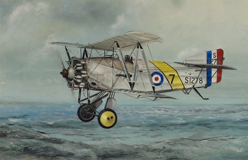 Warbird picture -  Fairey Flycatcher