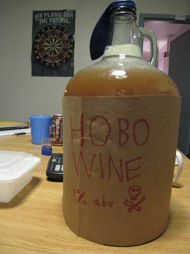 My Plans for the Future: Hobo Wine