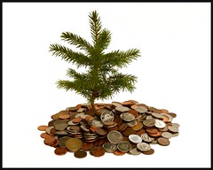 Money doesn't grow on tree ! But investing in them is the best way to capture the Carbon by pfala