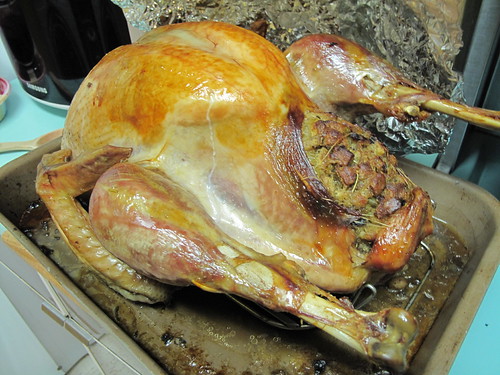 The business end of the turkey