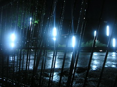 rain light / night
