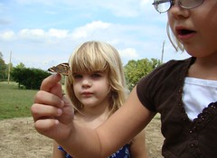 Isabelle holds a common buckeye