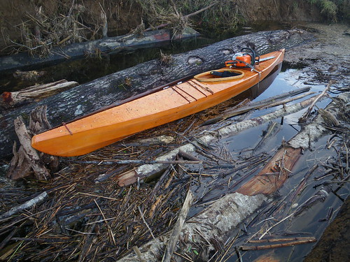 kayak and log jam