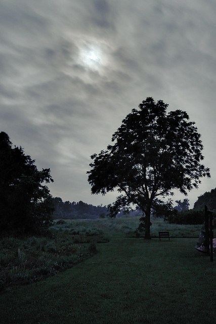 Young Conservation Area, in Jefferson County, Missouri, USA - landscape with moon