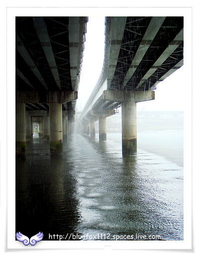081108Miruku雨天行進曲13_從橋下看滂沱大雨
