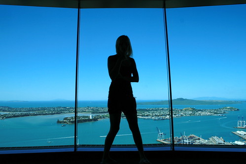 auckland sky tower view