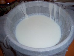 making_sour_cream