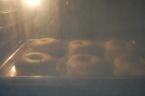Bagels baking in my crappy oven