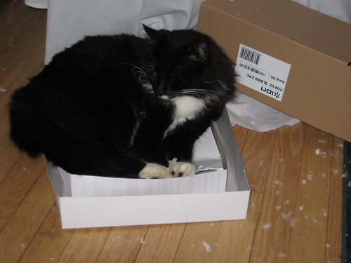 Zak in a box