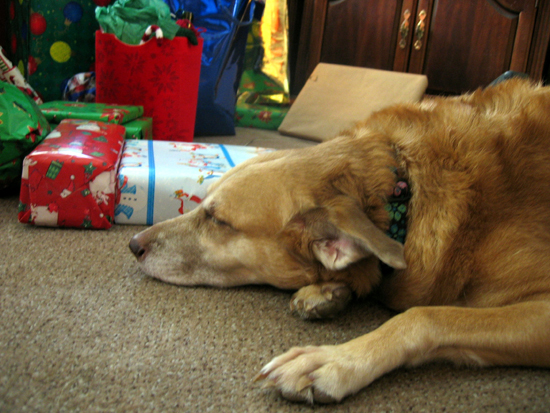 Tired of Gifts (Click to enlarge)