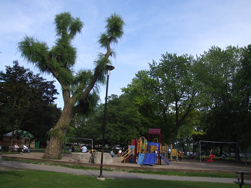 Oriole Park Playground