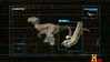 Utahraptor claw