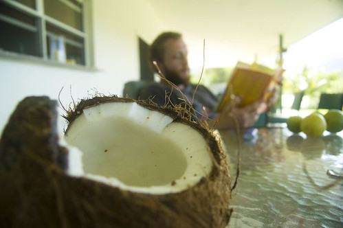G reads by a coconut