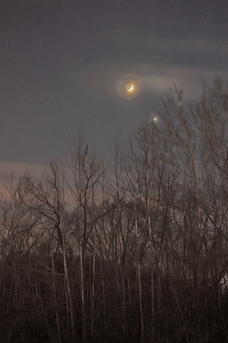 Forest 44 Conservation Area, near Valley Park, Missouri, USA - conjuction of moon and planets