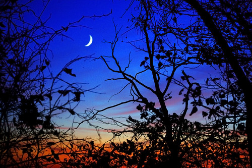  フリー画像| 自然風景| 空の風景| 月の風景| 夕日/夕焼け/夕暮れ|       フリー素材| 