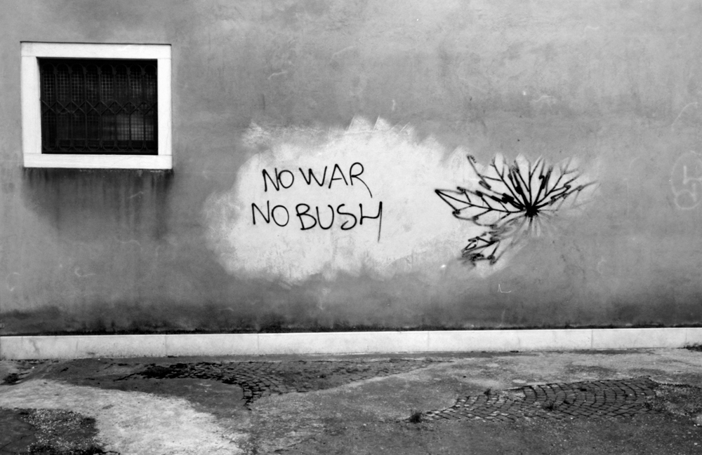 No Bush