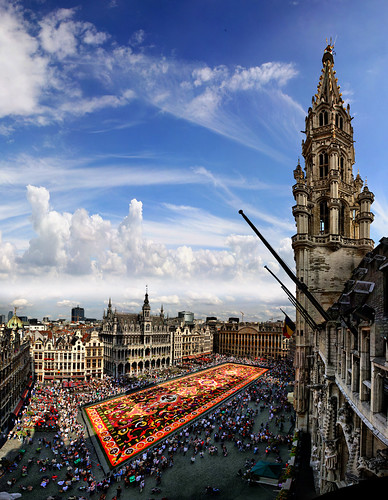 Shadow of the city hall on the carpet flower, Great Market, Brussels, Belgium