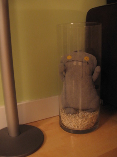 Babo in a vase, hiding the outlets