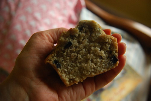 .5 blueberry oat muffin