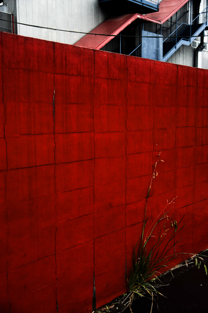 red wall and green grass