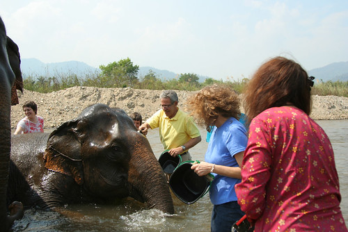 Elephant Nature Park 2/08 Chiang Mai Thailand