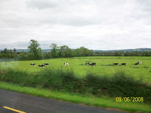 Ireland - on the road from Adare to Tralee