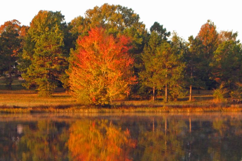 Cox Lake Autumn Splendor