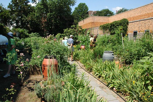 Hollenback Community Garden