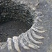 Detail of horn core pit