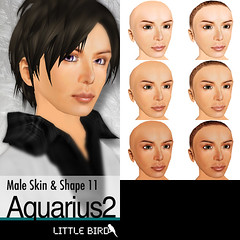Aquarius2 Skin POP