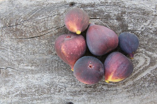 Fig Harvest