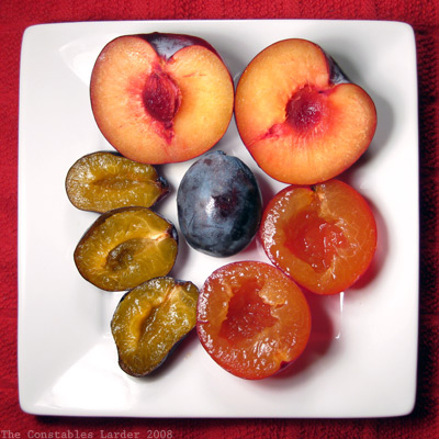 Plate of Plums
