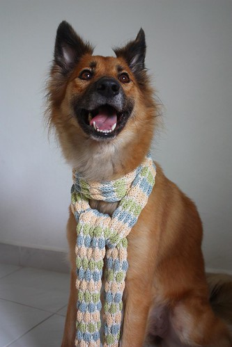 faux dotty scarf