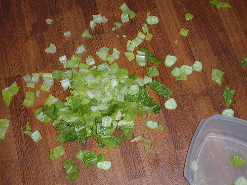 My Salad on the Floor