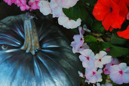 Magic pumpkin and flowers, Mill Rose Inn, Half Moon Bay, California, USA by Wonderlane