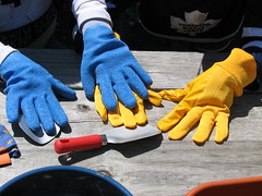 Our Gardening Gloves