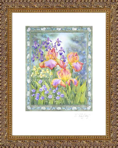 Jubliee Iris Floral by Elizabeth Ruffing, Print Framed