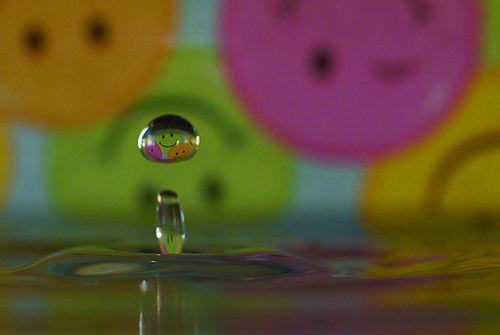 droplet photo found on happy cavalier