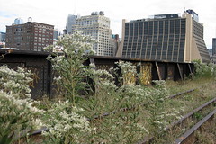 NYC: The High Line by wallyg, on Flickr