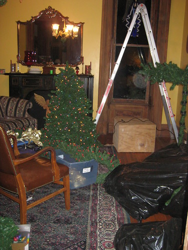 lving room tree going up