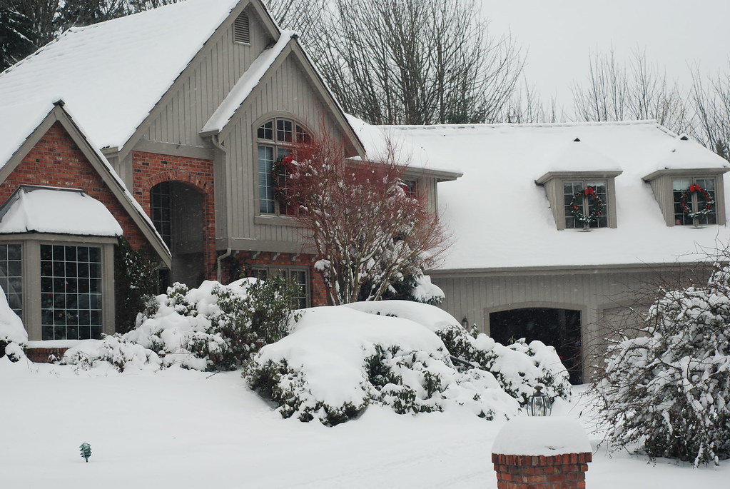 Winter Wonderland right here in Woodinville
