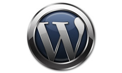 wordpres logo big