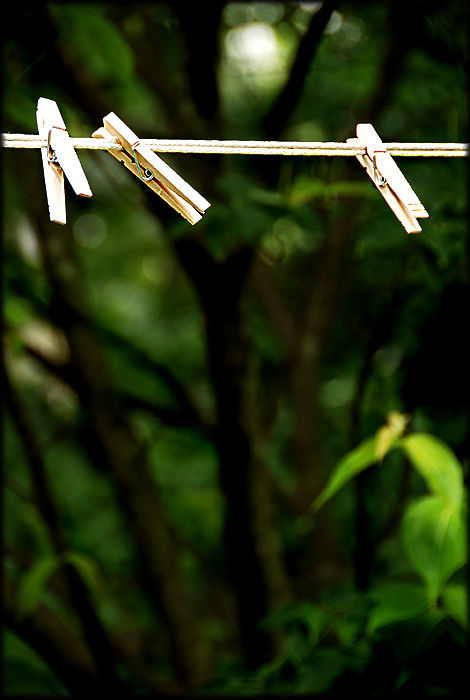 clothesline