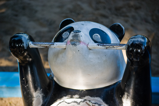 panda ride_9587