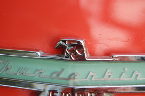 1956 Ford Thunderbird Badging Closeup (by Brain Toad Photography)