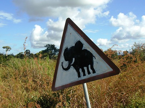 Caution - Elephants crossing the road