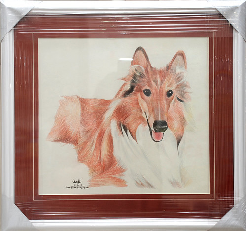 Dog portrait in colourpencil with frame